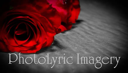 Photolyric Imagery Logo